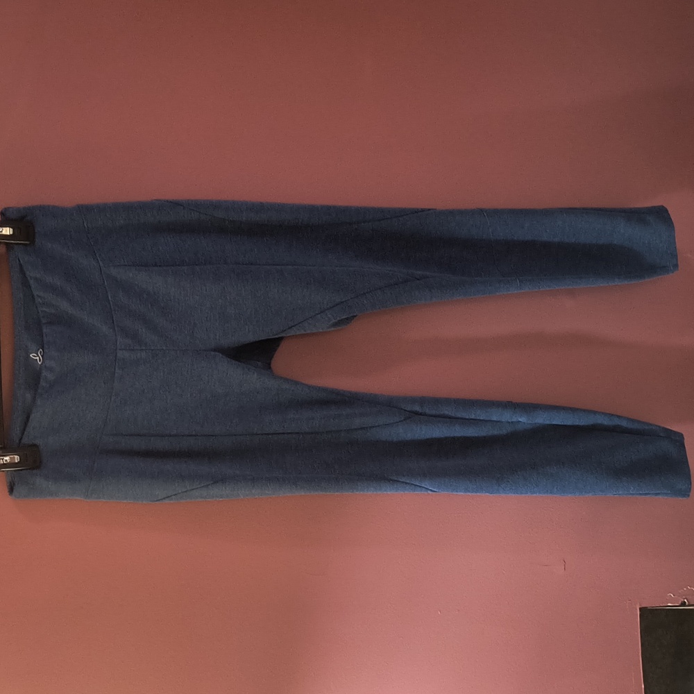 Prana pants (large)